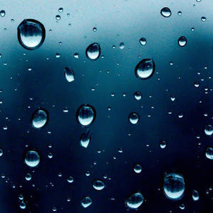 Meet your Posher, Grant